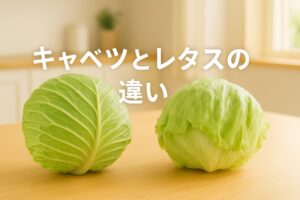 キャベツとレタスの違いを解説