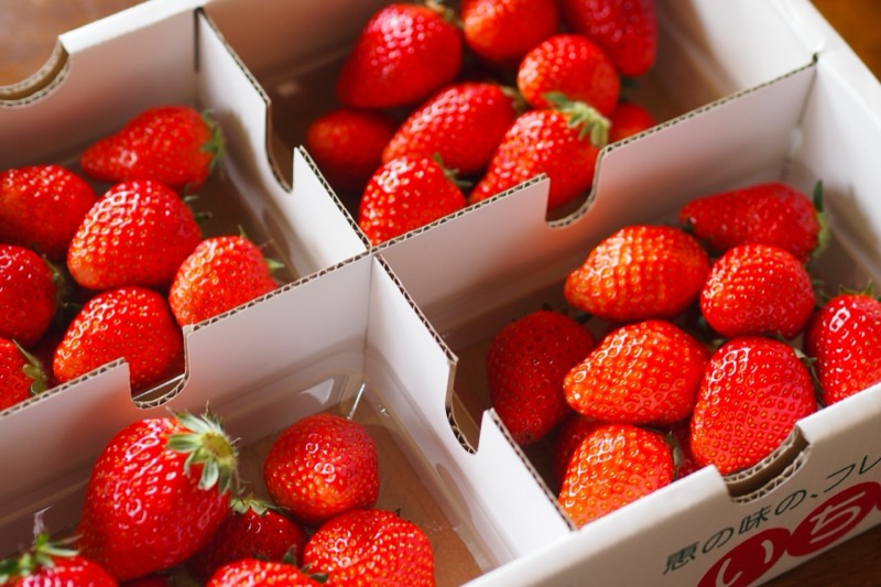 苺の保存方法