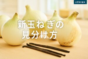 新玉ねぎの保存方法