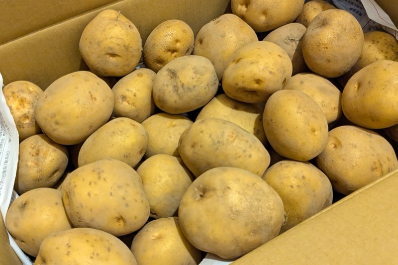 じゃがいもの保存方法