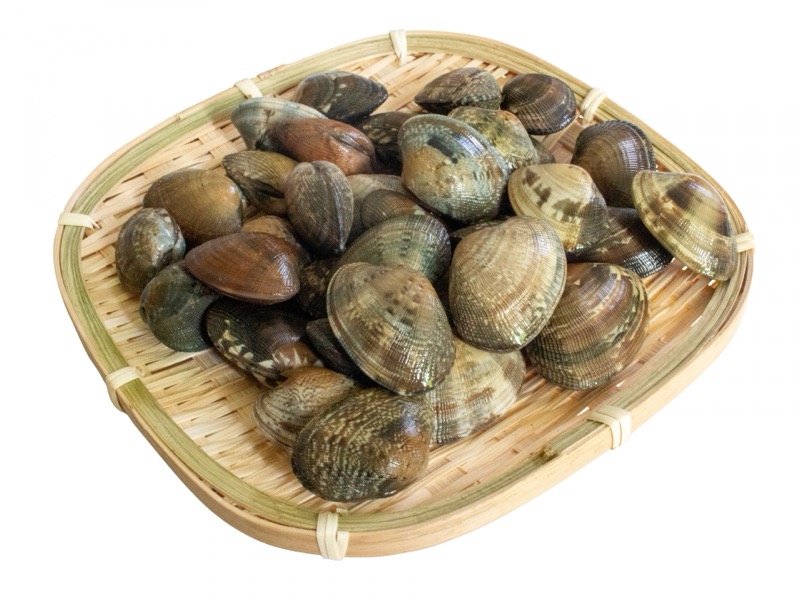 あさりの保存方法