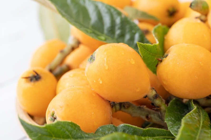 びわの保存方法