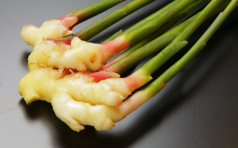 茗荷の保存方法