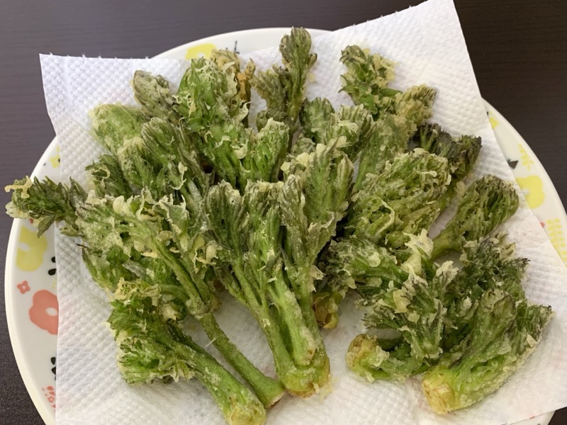 タラの芽の天ぷら