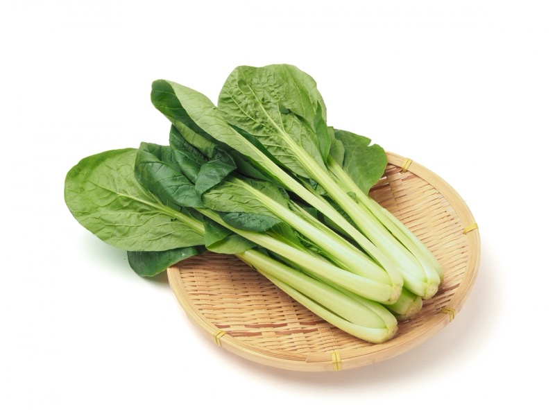 小松菜の保存方法