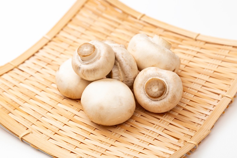 マッシュルームの保存方法