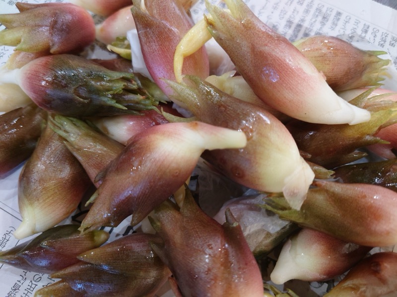 ミョウガの保存方法