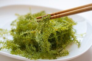 海ぶどう保存方法