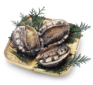 アワビの保存方法