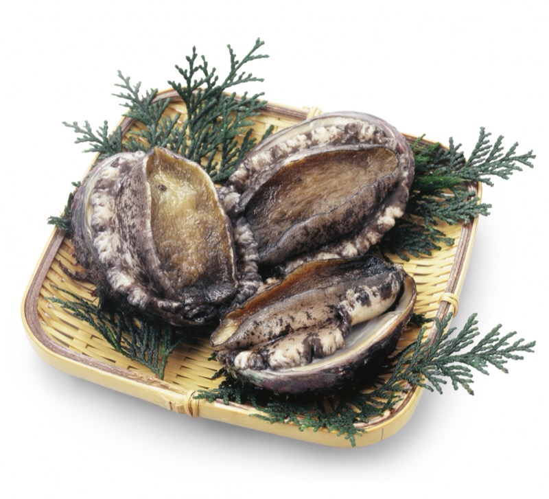 アワビの保存方法