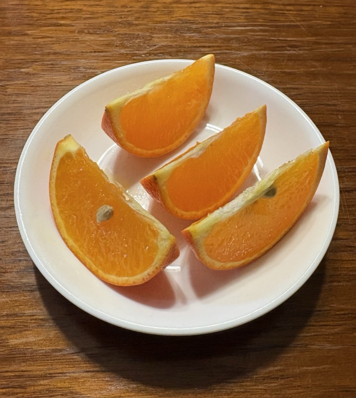 オレンジ保存方法