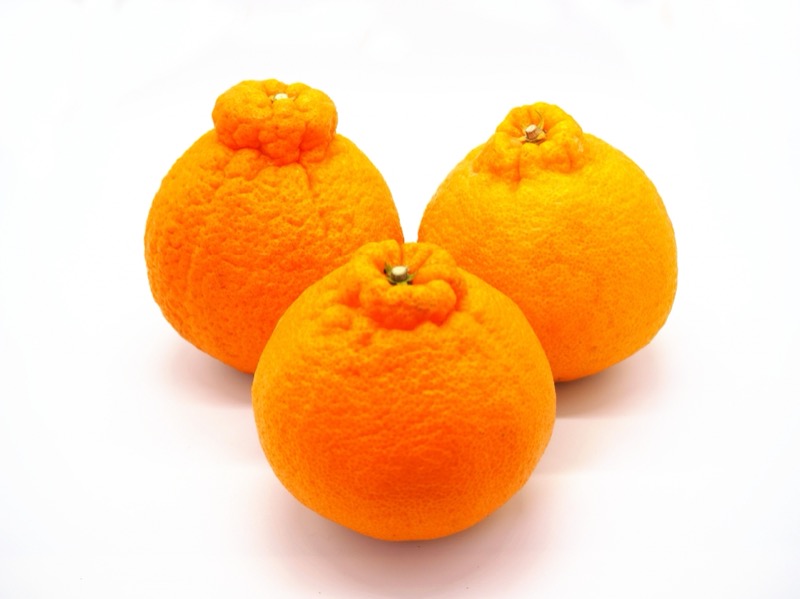 デコポンの保存方法