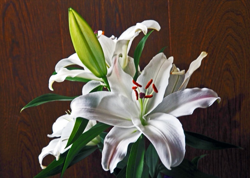 百合根の保存方法