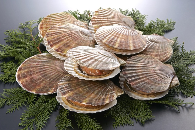 ほたての保存方法