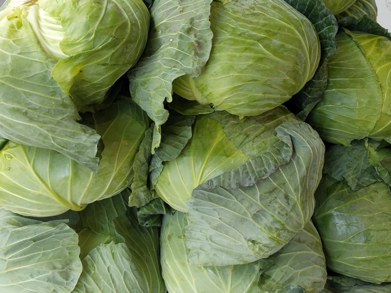 キャベツ保存方法