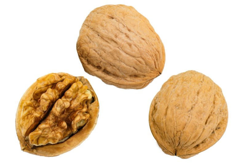 クルミ保存方法